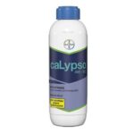 Calypso-Insekticid.jpg