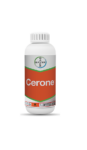 Cerone-Regulator-rasta-2.png