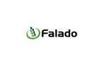 FALADO1234.jpg