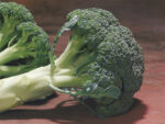chevalier-F1-brokoli-2.jpg