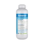 Adversis-1-1