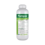 PAMPAS-1L