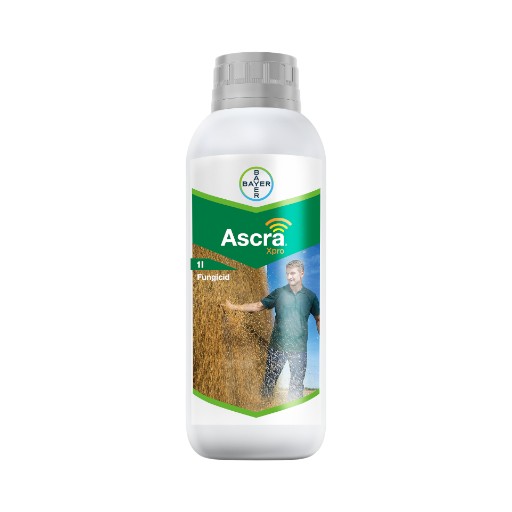 Ascra xpro 1/1 - fungicid