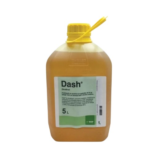 Dash 5/1
