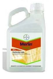 Merlin FLEXX SC 480 5/1 - herbicid