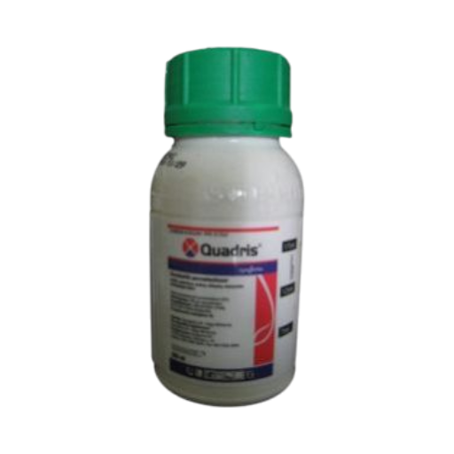 Quadris 0.2 - fungicid